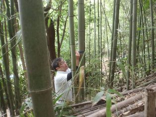 竹を活かすヤマ仕事　10月