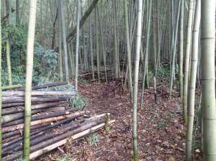 竹を活かすヤマ仕事　11月