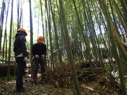 竹を活かすヤマ仕事　5月～新たな民有地の保全はじまりました！～
