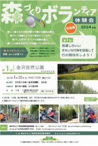 森ボラ体験会 | 見通しのいいきれいな竹林を目指して竹の間伐をしよう in 金沢自然公園 ※申込終了