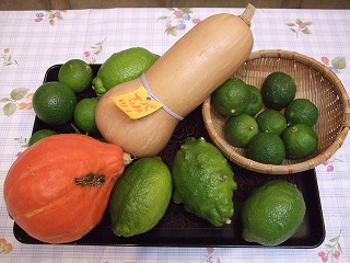 野菜盆.jpg