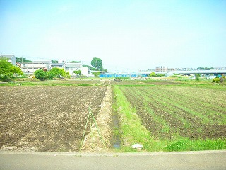 田んぼ_0501_05.jpg