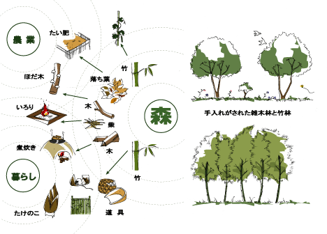 里山とは 特定非営利活動法人よこはま里山研究所