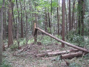 11.09.25台風15号被害状況_2540.jpg