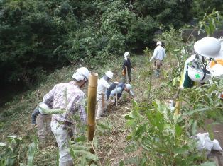 111009 デッキ1横に移植27.jpg