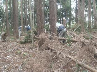 120422 間伐材片付け08.jpg