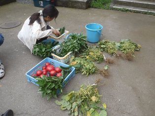 120722 お土産野菜22.jpg