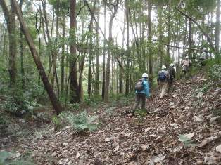 121223 散策（谷戸～植林地）22.jpg